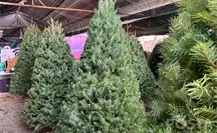 Ludwika Paleta celebra su cumpleaños en este exclusivo hotel de Los Cabos (FOTOS)