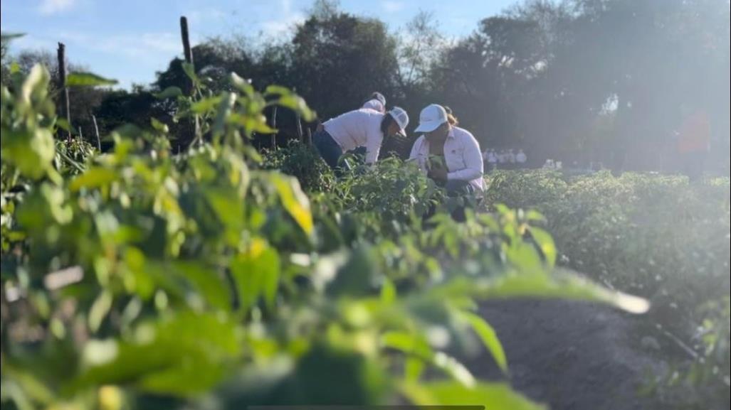 Tamaulipas busca mejora el autoestima de la mujer rural para combatir la violencia