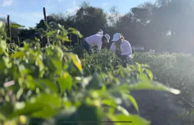 Tamaulipas busca mejora el autoestima de la mujer rural para combatir la violencia