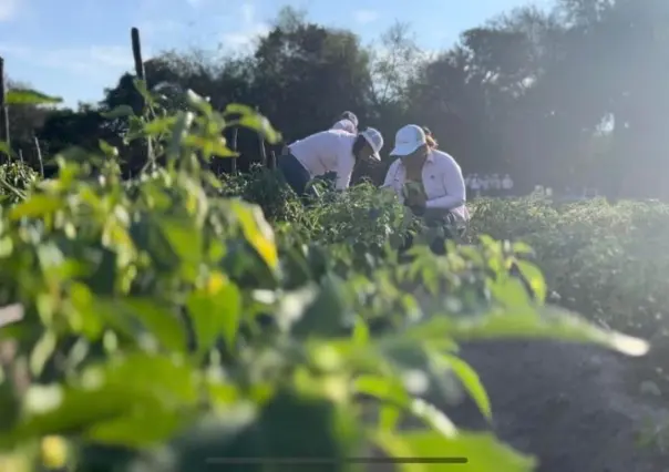 Tamaulipas busca mejora el autoestima de la mujer rural para combatir la violencia