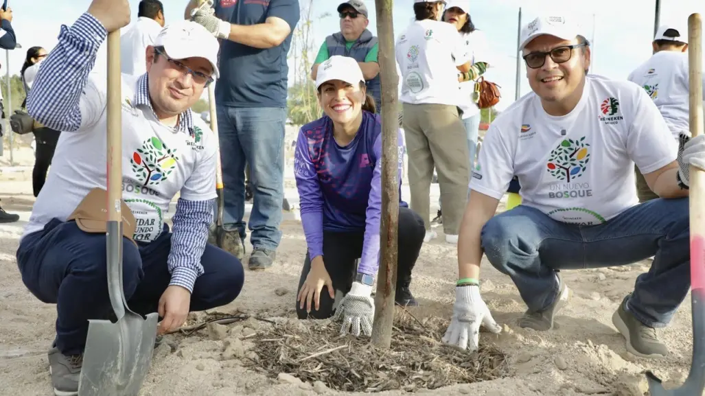 Reforestación de 500 árboles en El Piojillo, La Paz, participan Fundación Azteca y Heineken