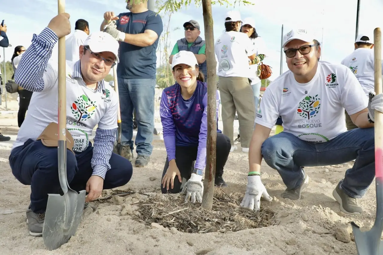 Realizan reforestación de 500 árboles en El Piojillo, en La Paz.  Foto: Ayuntamiento de La Paz