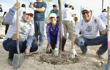 Reforestación de 500 árboles en El Piojillo, La Paz, participan Fundación Azteca y Heineken