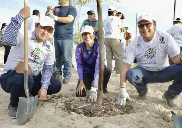 Reforestación de 500 árboles en El Piojillo, La Paz, participan Fundación Azteca y Heineken