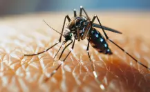 Secretaría de Salud de Tamaulipas confía en que el frío acabe con el dengue