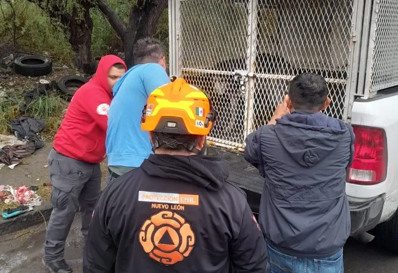 La unidad de Protección Civil Monterrey, junto con Bienestar Animal, trabajó en la liberación del perro. Foto: Protección Civil de Nuevo León.