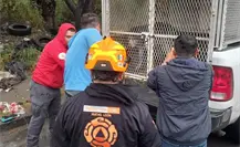 Perro atrapado en barandal es rescatado en Monterrey (VIDEO)
