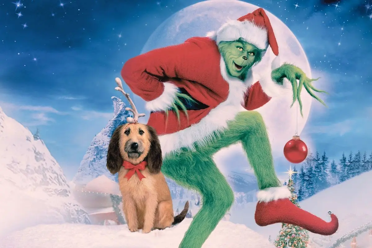 El Grinch puede ser una clásica pero siempre buena opción para ver esta navidad. Foto: CANVA/Universal Pictures/MAX