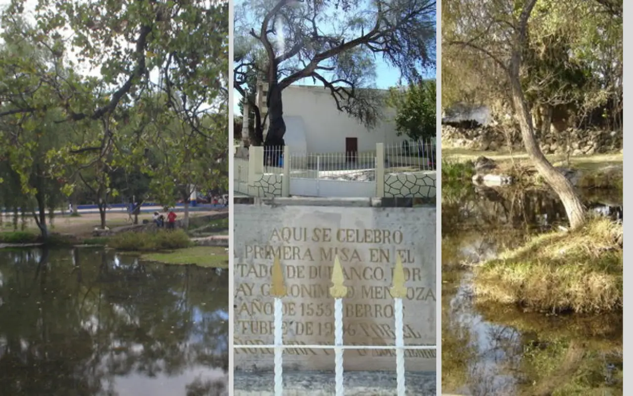 Los Berros ofrece una belleza en sus paisajes por sus sabinos ubicados en el Río Mezquital. Foto: https://mexico.pueblosamerica.com