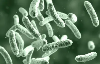 Brote de bacteria Klebsiella oxytoca está bajo control, afirma Salud Edomex