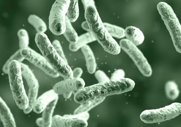 Brote de bacteria Klebsiella oxytoca está bajo control, afirma Salud Edomex
