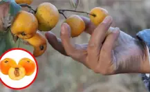 El tejocote nutre tu piel y mejora tu apariencia, aquí una receta de belleza