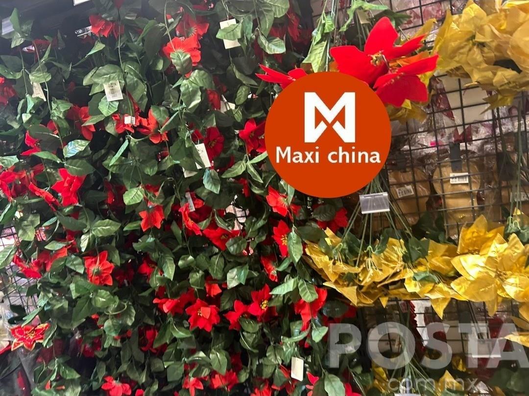 Maxi China ofrece algunos articulos diversos para quienes quieren que se vea bien su jardín. Foto: POSTA MX/Canva.