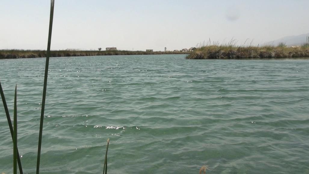 Río Mezquites: un paraíso de Cuatro Ciénegas