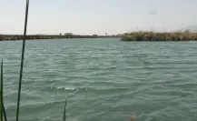 Río Mezquites: un paraíso de Cuatro Ciénegas