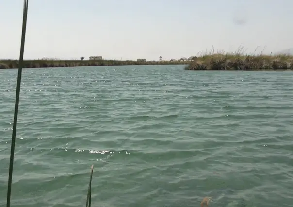 Río Mezquites: un paraíso de Cuatro Ciénegas