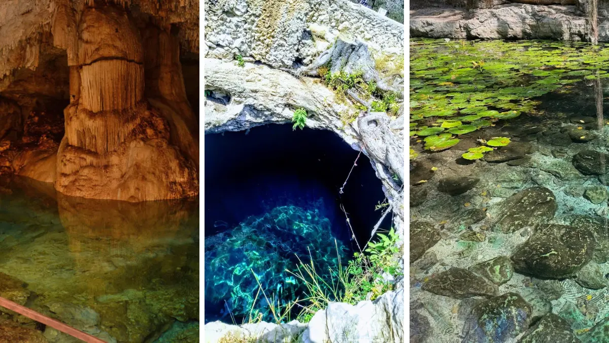 Estos cenotes están a pocos kilómetros de Mérida Foto: Yucatán Turismo/Iván Maldonado/Christophe Sentenac