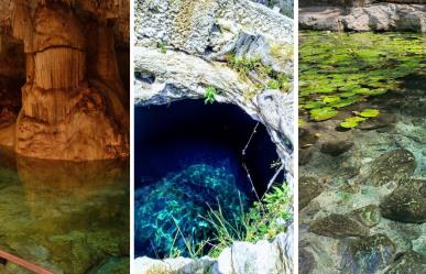 Cenotes baratos que puedes visitar a menos de 1 hora de Mérida