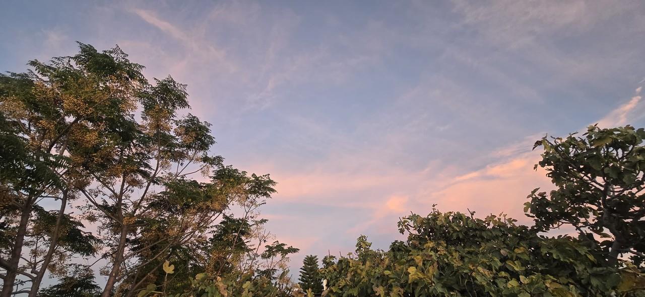 Conoce cual será el pronóstico del clima para este sábado 7de Diciembre a través de POSTA Durango.  Foto: Gerardo Lares.