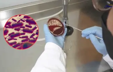 Brote de Klebsiella oxytoca en el Edomex: Lo que se sabe hasta ahora