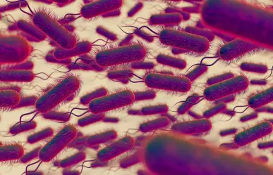 Continúa monitoreo de hospitales en Edomex por  Klebsiella oxytoca