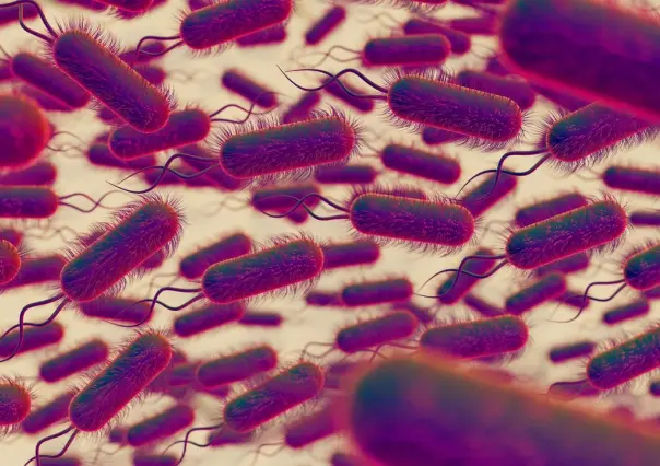 Continúa monitoreo de hospitales en Edomex por  Klebsiella oxytoca
