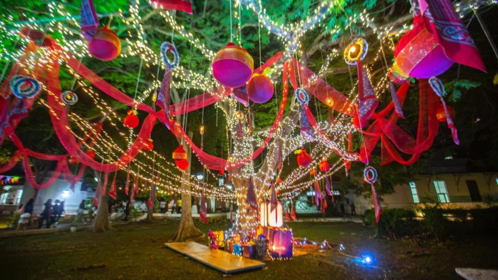 Llega la Navidad a Bellas Artes en Mérida con el encendido del árbol de Flamboyán