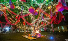 Llega la Navidad a Bellas Artes en Mérida con el encendido del árbol de Flamboyán