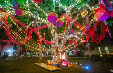 Llega la Navidad a Bellas Artes en Mérida con el encendido del árbol de Flamboyán