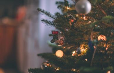Navidad 2024: García se iluminará con el encendido del Gran Pino Navideño