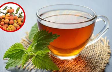 Té de tejocote: 3 padecimientos en los que se usa y cómo se prepara