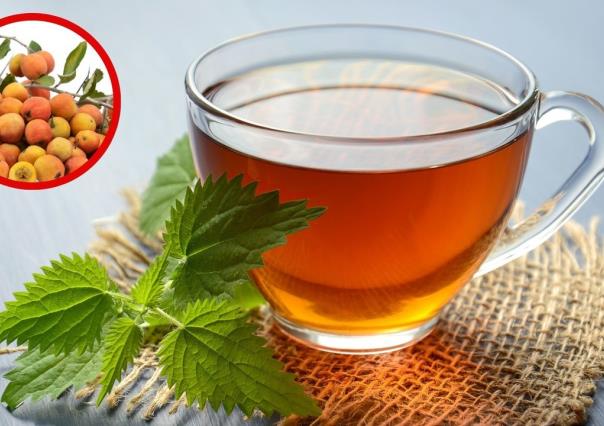 Té de tejocote: 3 padecimientos en los que se usa y cómo se prepara