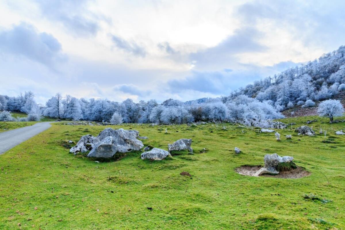 Se esperan bajas temperaturas en la zona norte de todo el país. Foto: Freepik