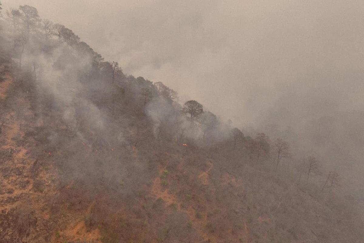 Incendio forestal registrado hace seis meses en el Cañón del Novillo en Victoria. Foto: Carlos García