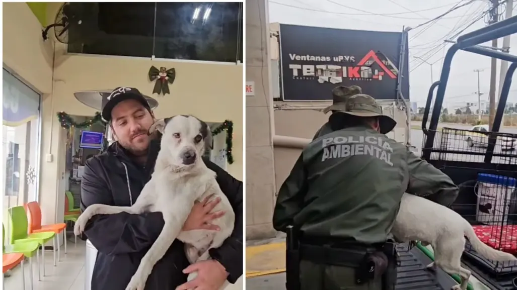 Policía Ambiental en Saltillo rescata a perrito de un pozo de 30 metros; ahora busca un nuevo hogar