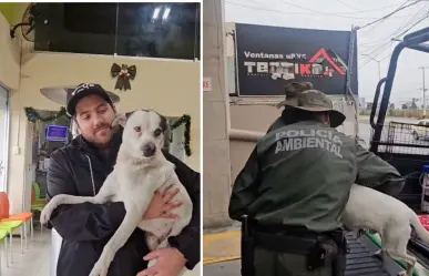 Policía Ambiental en Saltillo rescata a perrito de un pozo de 30 metros; ahora busca un nuevo hogar