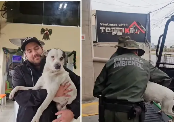 Policía Ambiental en Saltillo rescata a perrito de un pozo de 30 metros; ahora busca un nuevo hogar