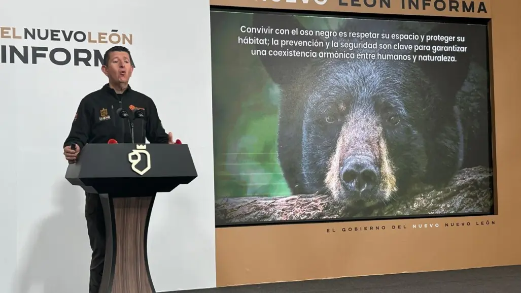 Esto debes hacer si te topas con un oso negro en Nuevo León