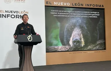 Esto debes hacer si te topas con un oso negro en Nuevo León