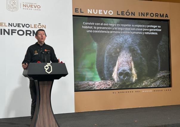 Esto debes hacer si te topas con un oso negro en Nuevo León