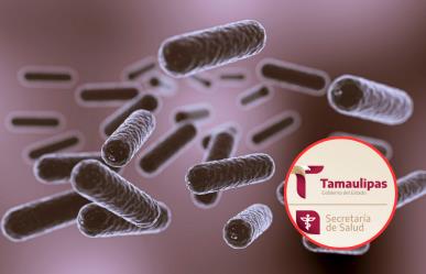 Descartan presencia de la bacteria Klebsiella en Tamaulipas ¿cuáles son sus síntomas?