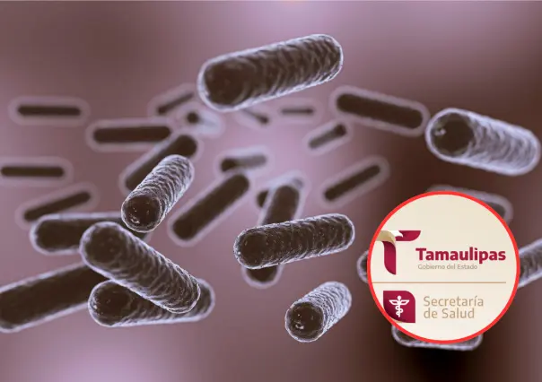 Descartan presencia de la bacteria Klebsiella en Tamaulipas ¿cuáles son sus síntomas?