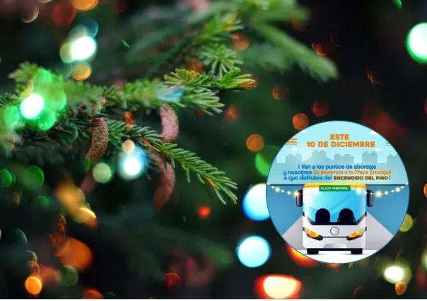 Pesquería invita al Encendido del Pino con transporte gratuito para los ciudadanos