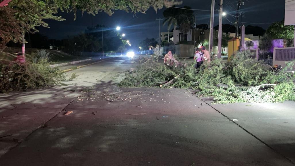 Frente frío 14 destroza zona sur de Tamaulipas y genera caos