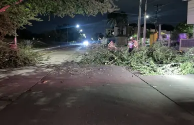 Frente frío 14 destroza zona sur de Tamaulipas y genera caos