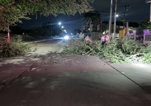 Frente frío 14 destroza zona sur de Tamaulipas y genera caos