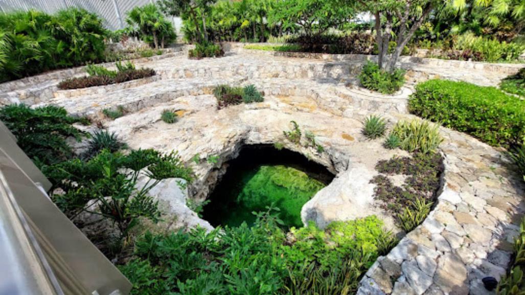 Cenotes en Mérida para visitar gratis y sin salir de la ciudad