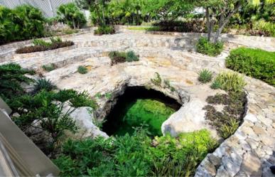 Cenotes en Mérida para visitar gratis y sin salir de la ciudad