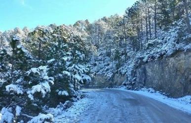 Clima en Tamaulipas: Efectos del frente frío 14 se acentuarán en las próximas horas