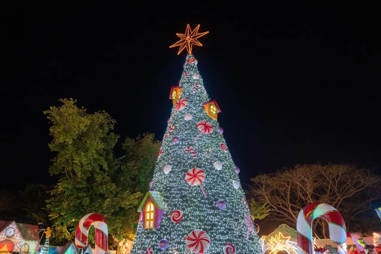 Árbol de Navidad en el Parque La Plancha. Foto: @huachodíazmena